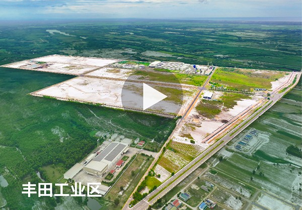 Video Phong Dien IP Video Phong Dien IP