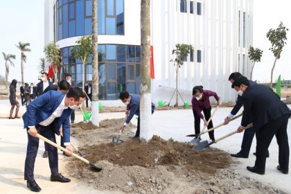 Tet-trong-cay-2021-05