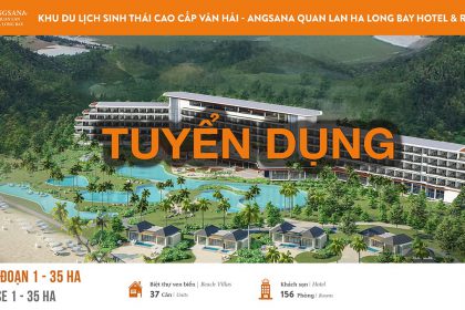 Tuyen-dung-Van-Hai-Angsana
