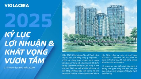 Thanh-tuu-Viglacera-1