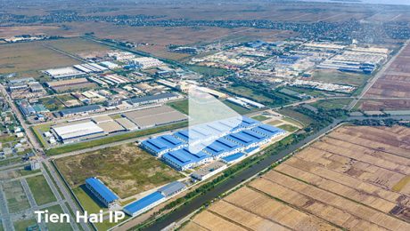 tien-hai-ip